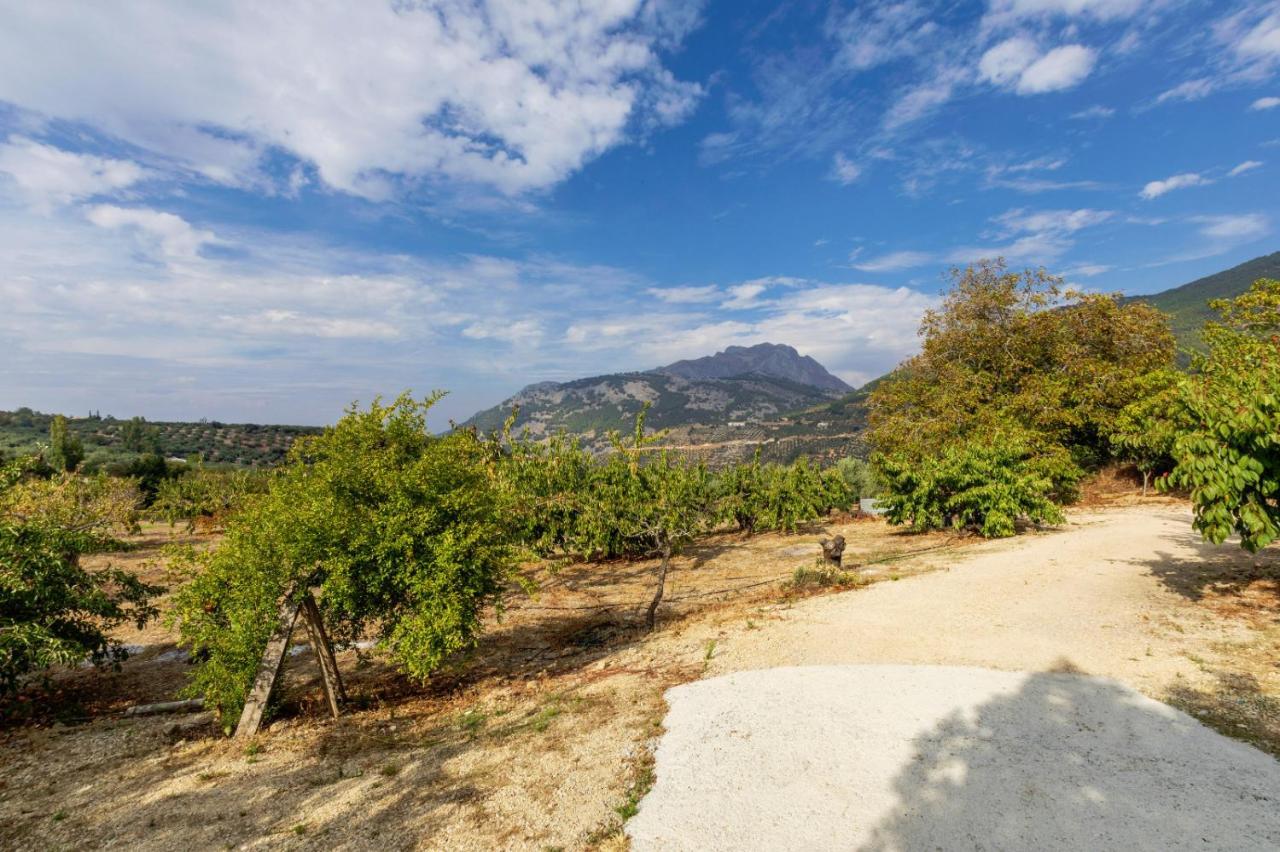 Casa Jurinea Alzar Villa Torres  Екстериор снимка