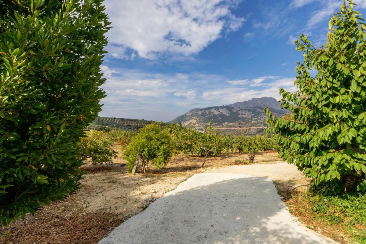 Casa Jurinea Alzar Villa Torres  Екстериор снимка