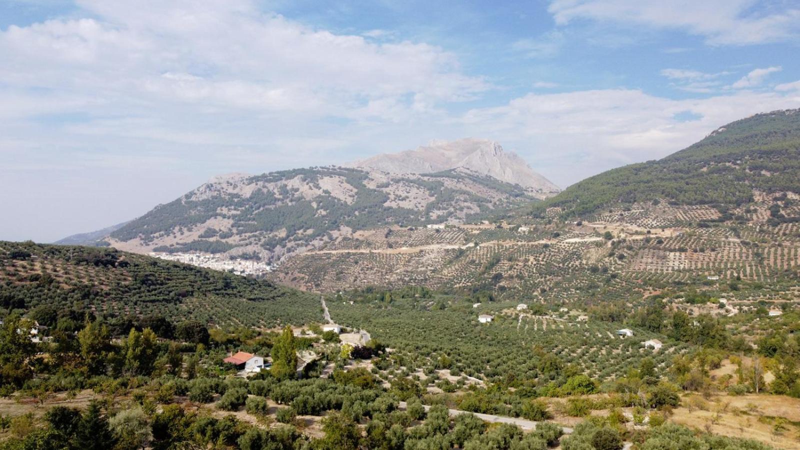 Casa Jurinea Alzar Villa Torres  Екстериор снимка